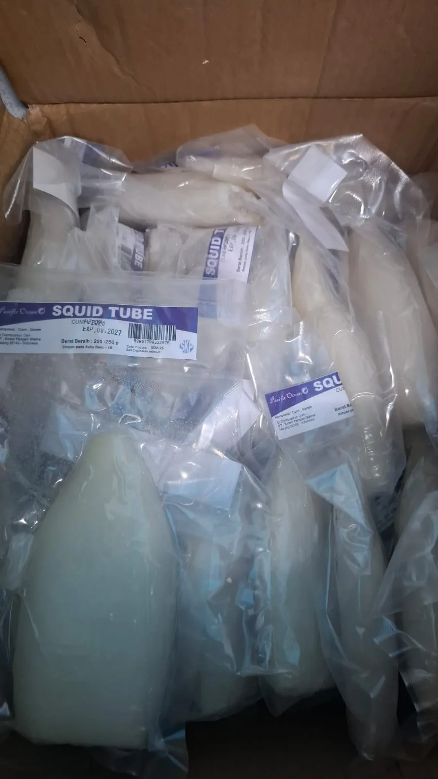Pasific Ocean Squid Tube 200-250 GR