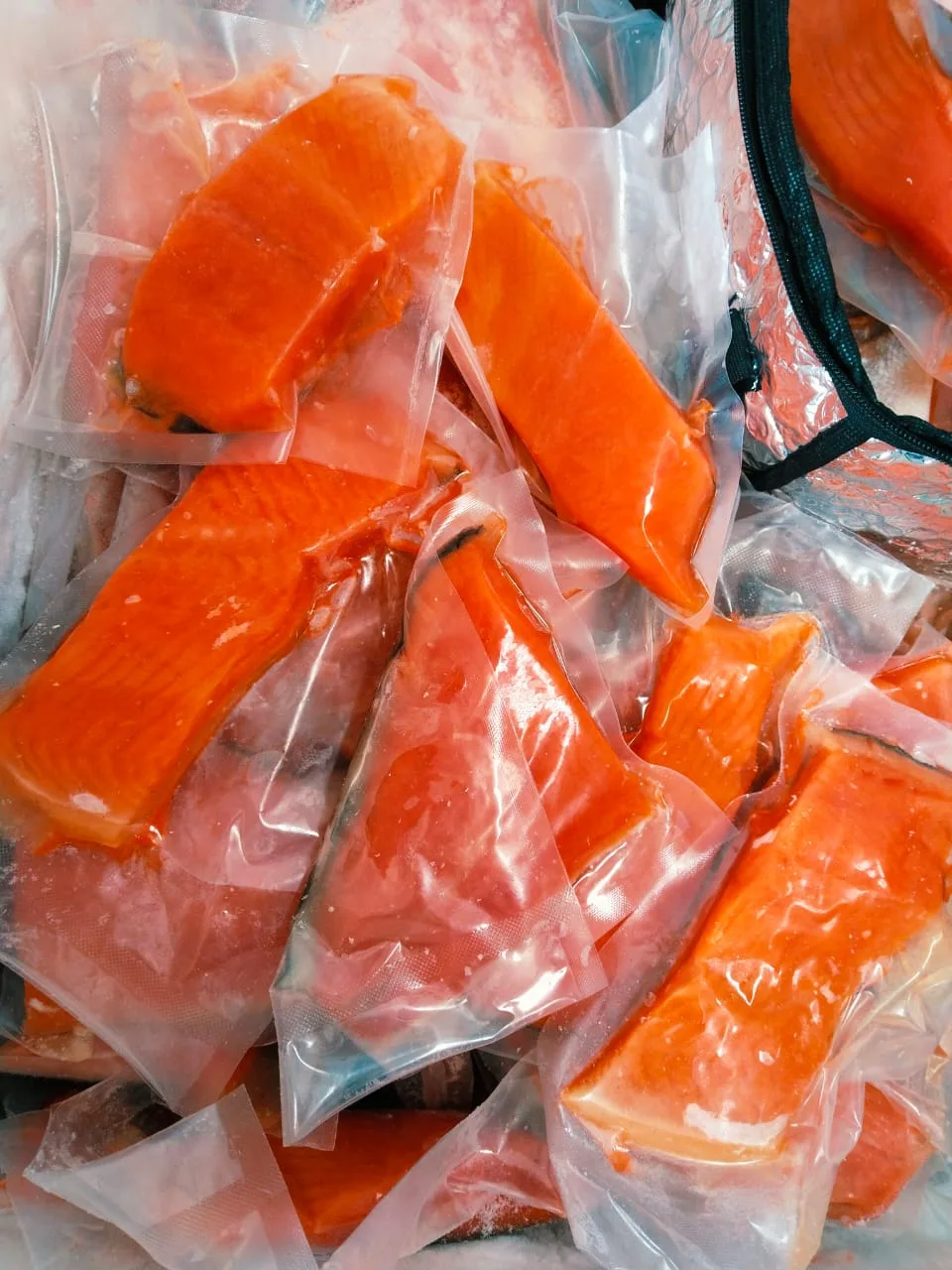 Pasific Ocean Salmon Steak 50-150 GR