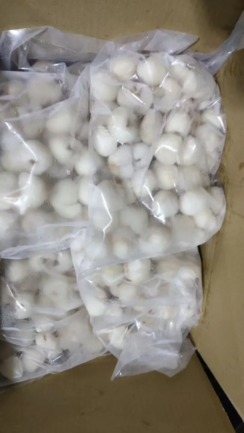 KK Lychee Frozen 1 KG